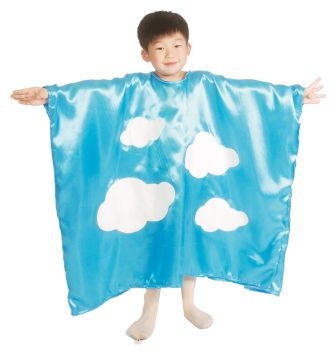 雲 81913D